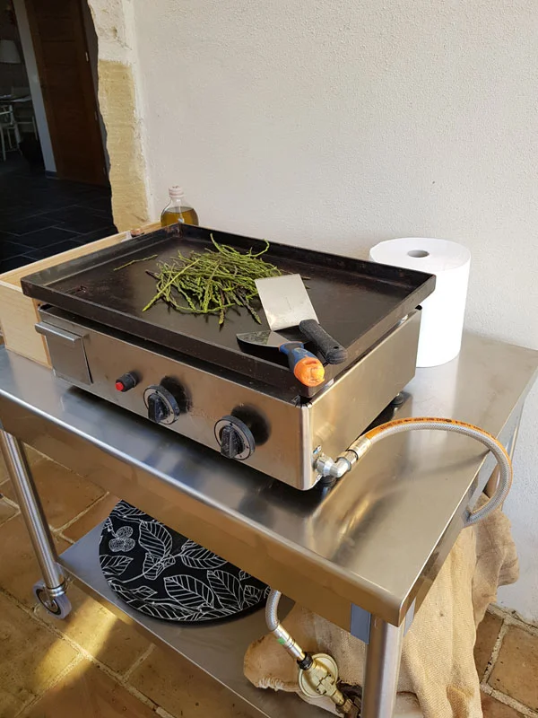 La plancha de la cuisine