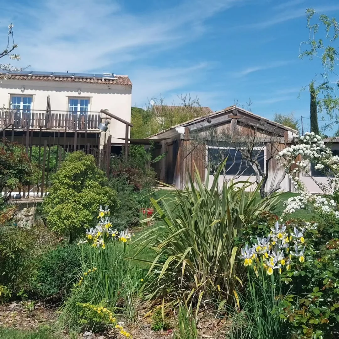 Les iris en fleurs et les bâtisses du Mas