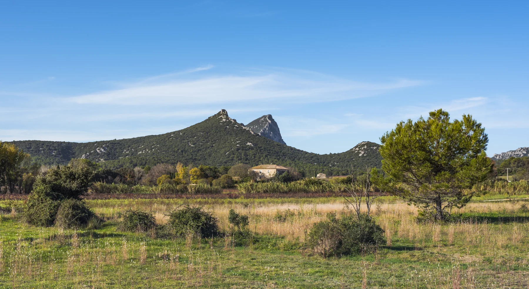 Le Pic Saint-Loup et la campagne depuis Saint-Mathieu-de-Tréviers