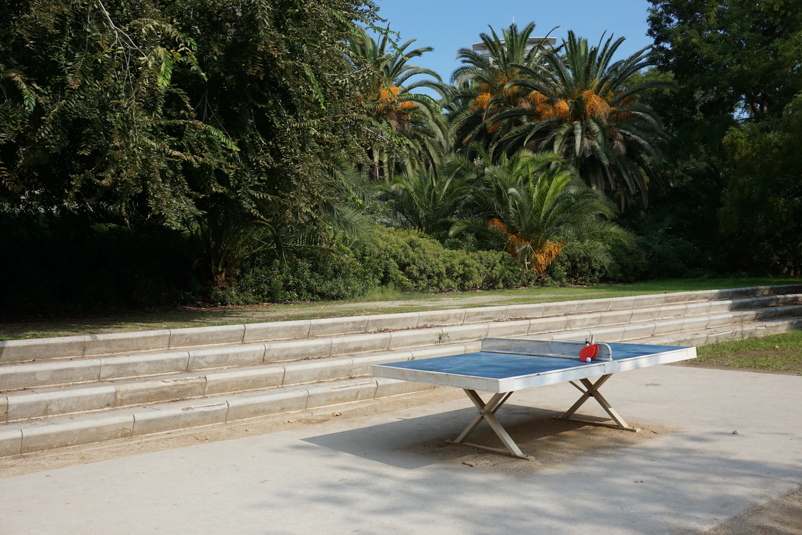Table de ping-pong en plein air, photographie d’illustration