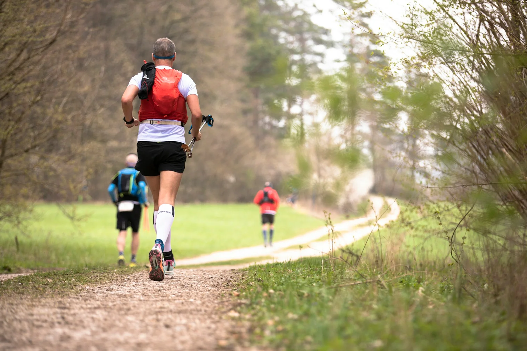 Coureurs de trail vus de dos sur un chemin bordé d’arbres, photographie d’illustration